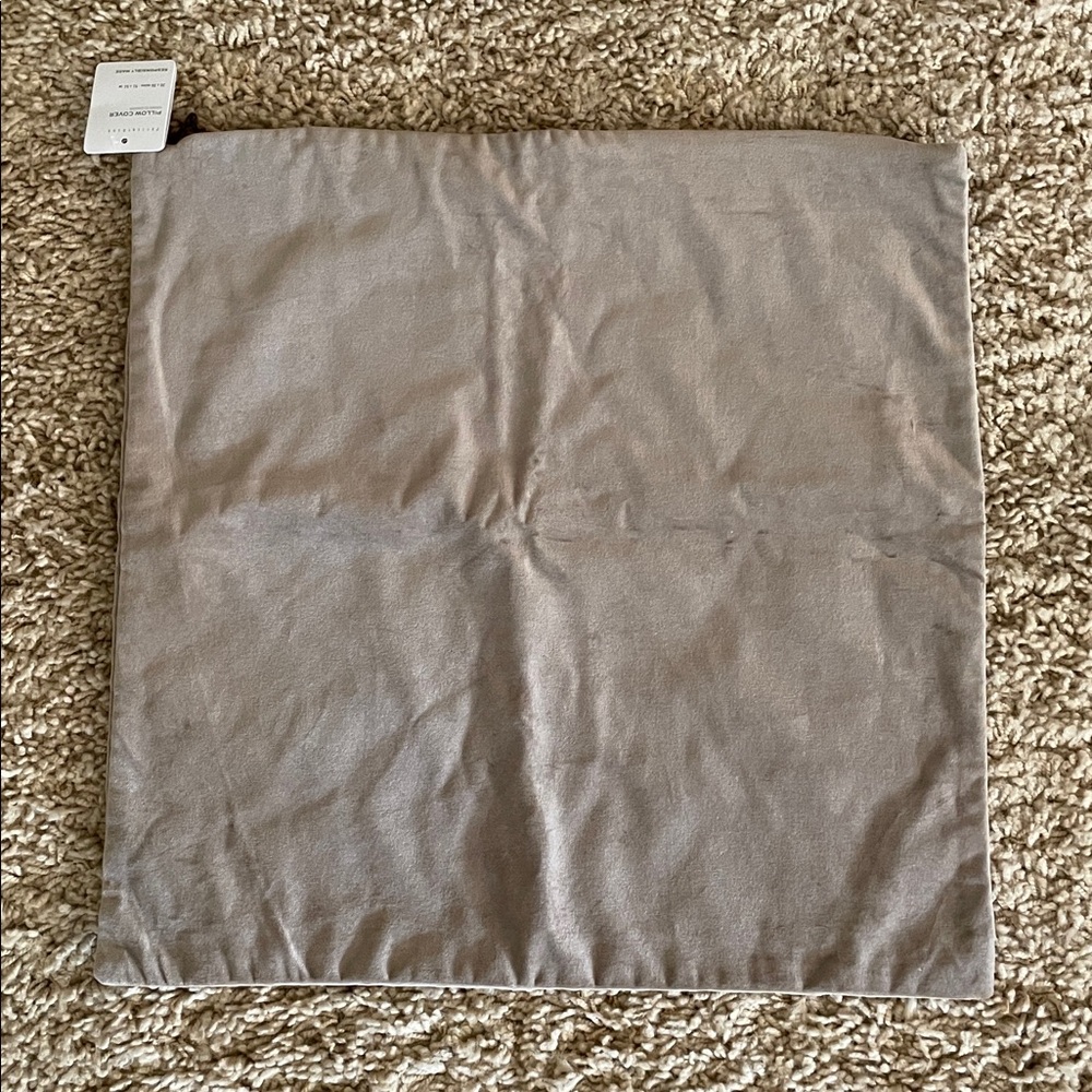 Pottery Barn Velvet Pillow Cover